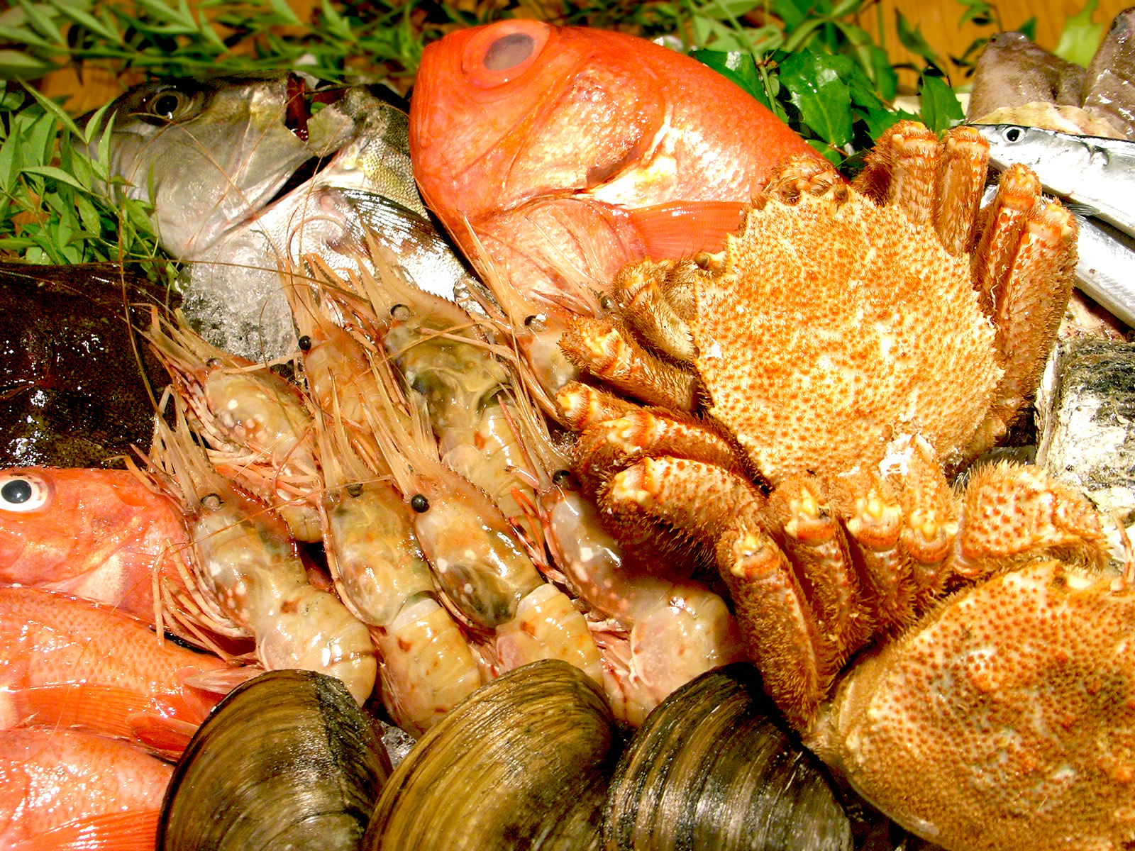 「加賀野菜」能登半島や日本海の新鮮な魚介類